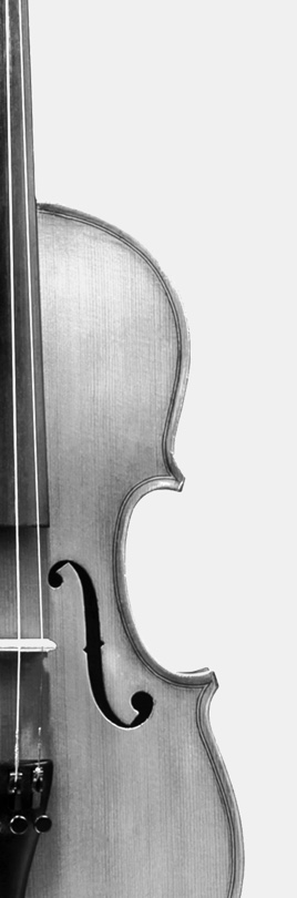 Violin photo zoomed in to profile the body